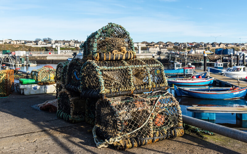 Lobster traps at the harbor in Wick, Scotland