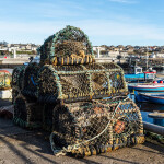 Lobster traps at the harbor in Wick, Scotland