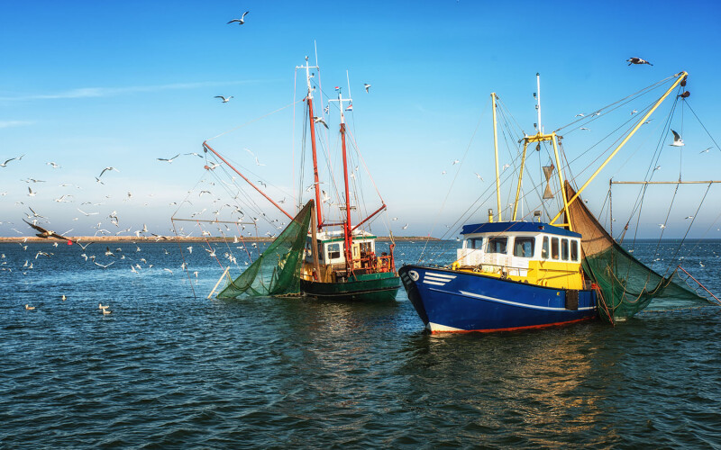 A pair of boats fishing for anchovies