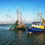 A pair of boats fishing for anchovies