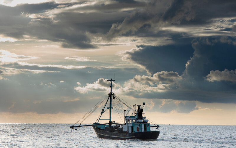 ICFA released a policy document outlining its approach to sustainable bottom trawling in advance of the UN Ocean Conference