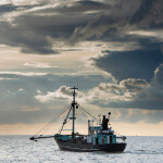 ICFA released a policy document outlining its approach to sustainable bottom trawling in advance of the UN Ocean Conference