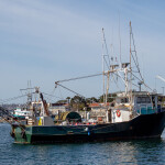 A fishing vessel in San Diego, California