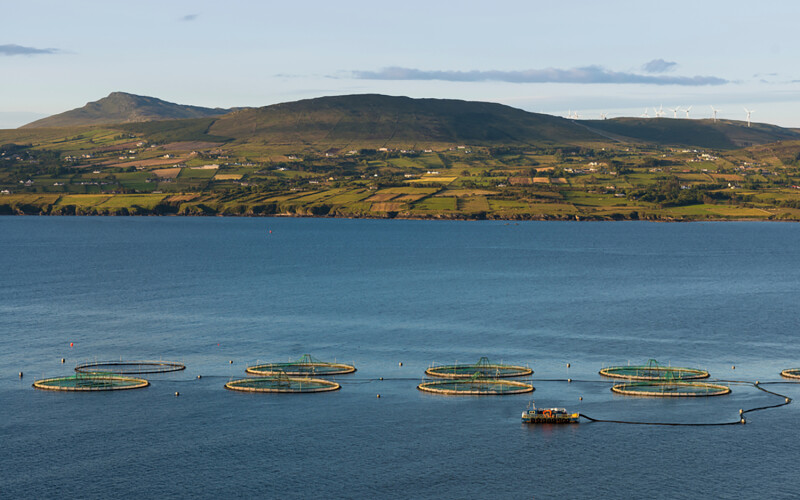 A salmon farm off the coast of Donegal, Ireland