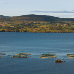 A salmon farm off the coast of Donegal, Ireland