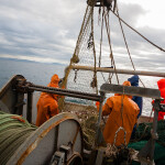 Fishermen onboard a commercial fishing vessel