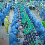 The processing floor of Co May Import-Export Company Limited