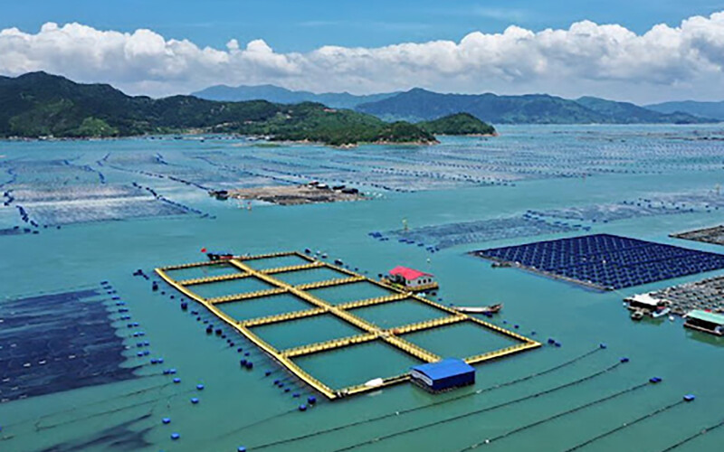 Fish-farming operations off the coast of Xiapu County in Fujian Province