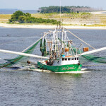 A shrimp vessel on the water