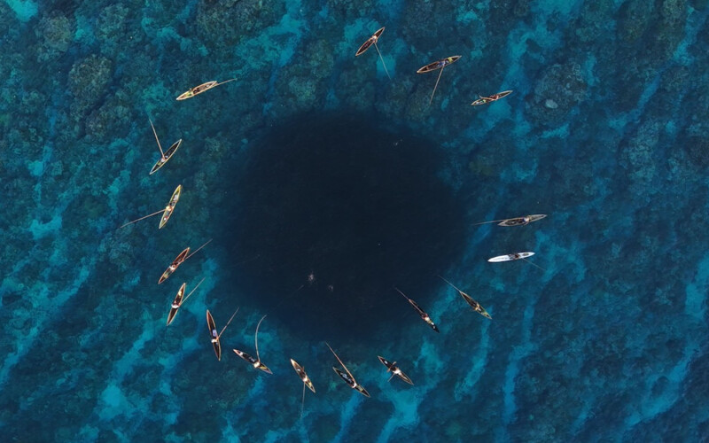A circle of Indigenous fishermen catching scad
