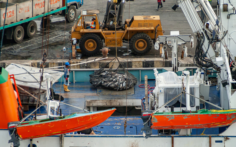 Offloading tuna catch in Manta, Ecuador