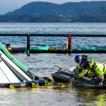 AKVA employees performing maintenance in an aquaculture net pen