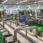 A shrimp-processing factory in Vietnam