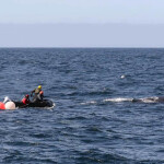 Responders attempting to free an entangled humpback whale off the California coast