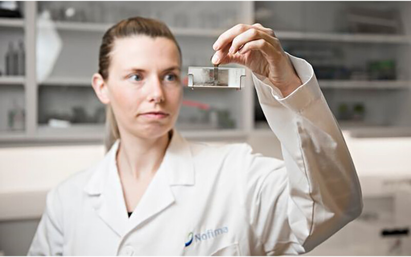 A scientist holding up a piece of equipment