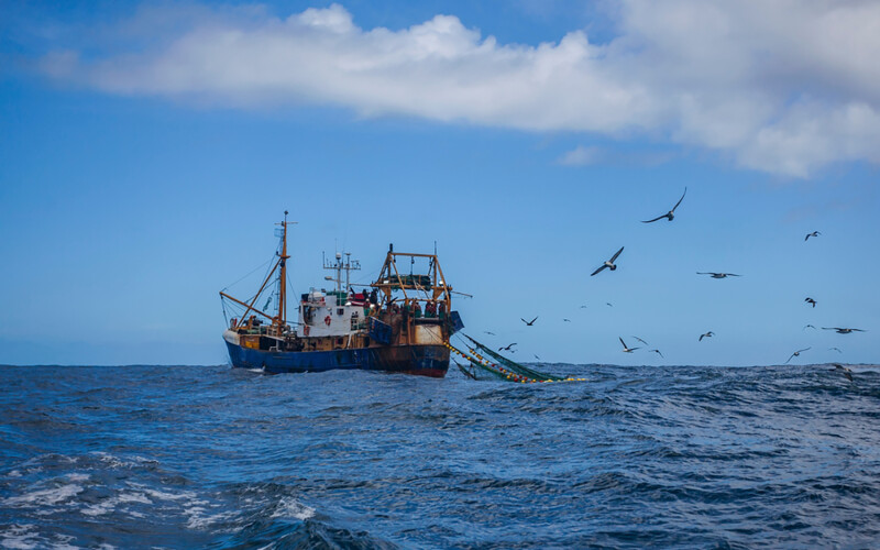 A trawler vessel fishing in the Southern Ocean