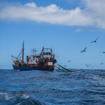 A trawler vessel fishing in the Southern Ocean