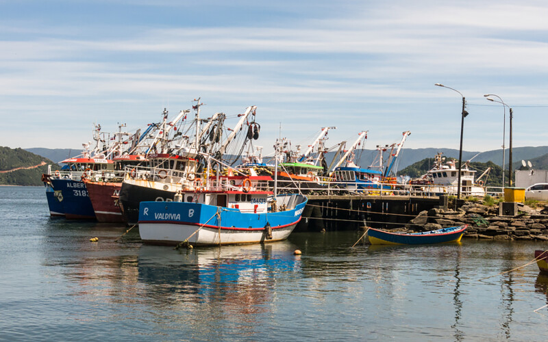 Fishing boats off the harbor in Valdivia, Chile