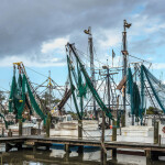 Shrimp vessels in North Carolina