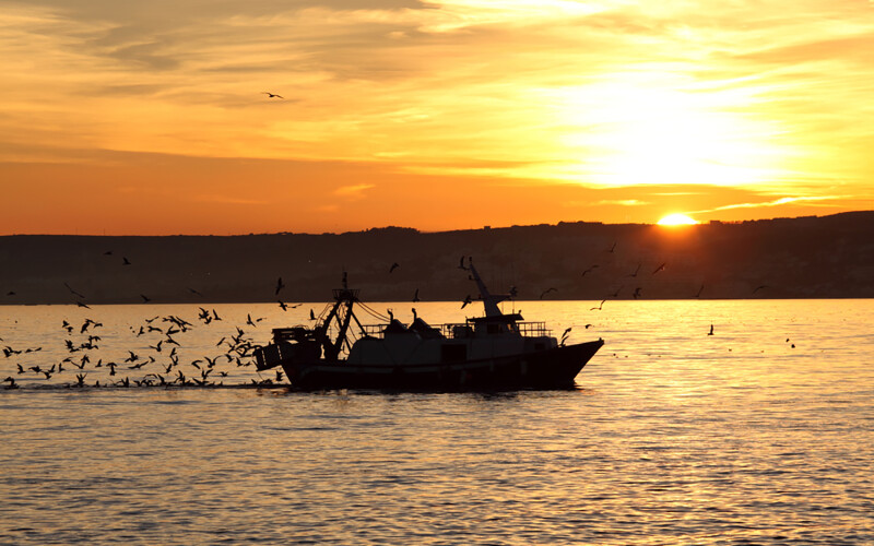 A fishing vessel out on the water in Andalusia, Spain