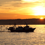 A fishing vessel out on the water in Andalusia, Spain