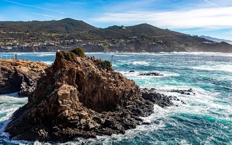 The Center for Applied Aquaculture Innovation (CAAI) will be located in La Paz, Baja California Sur, Mexico