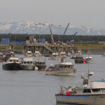 Cook Inlet salmon fishing boats in a harbor