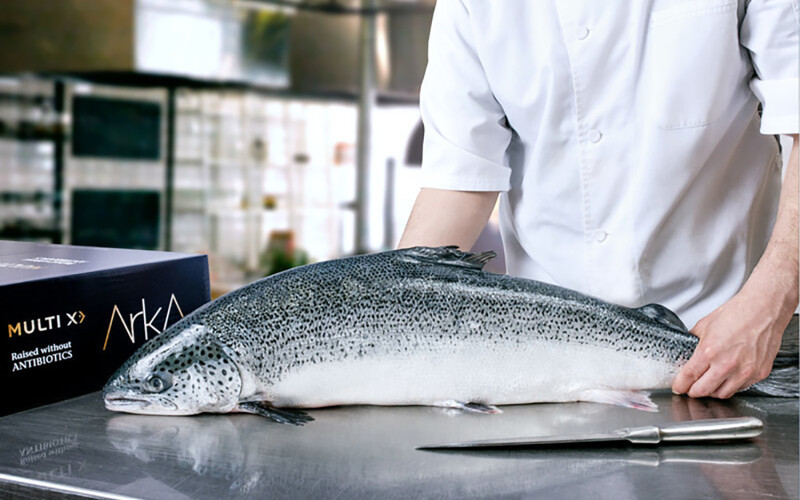 Multi X Arka brand of salmon