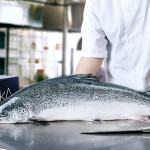 Multi X Arka brand of salmon