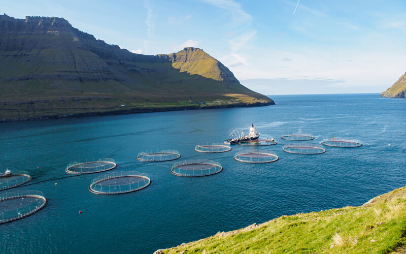 A fish farm in the Faroe Islands