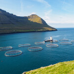 A fish farm in the Faroe Islands