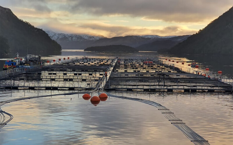 Nova Austral net pens