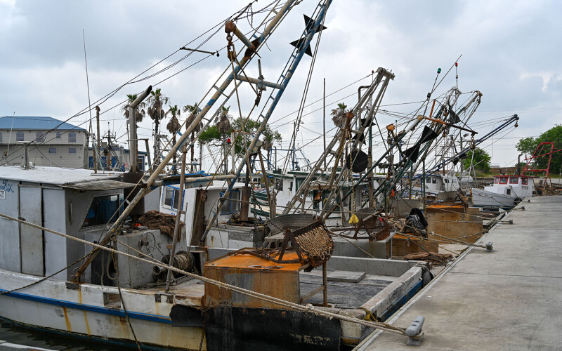 Oyster vessels on the Gulf of Mexico