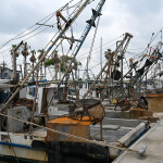 Oyster vessels on the Gulf of Mexico