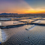 A Vietnamese shrimp farm