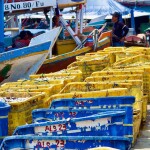 An Indonesian fishing dock