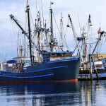 A scallop fishing vessel at a dock