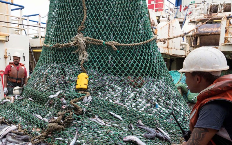 Fishers hauling in hake in South Africa