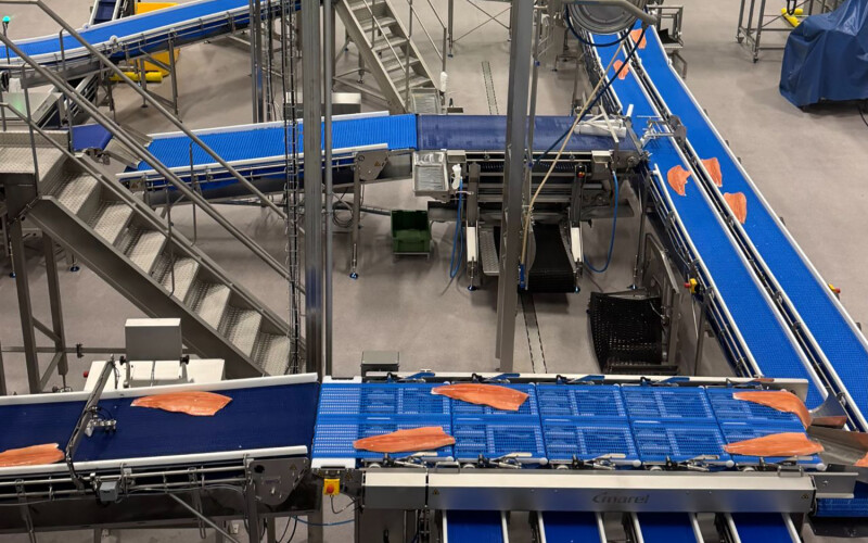 Lerøy Seafood Group's new processing facility in Austevoll