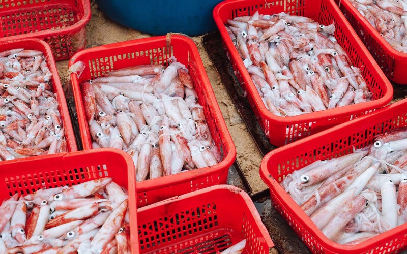 Containers of squid at a Vietnamese market