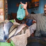 A Pakistani fish vendor