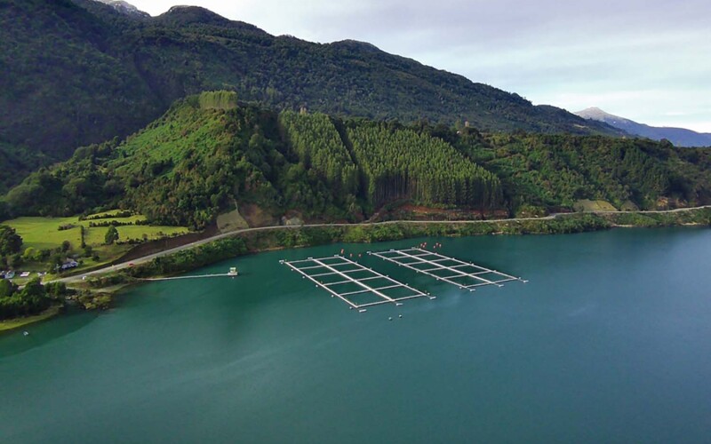 A Chilean salmon farm