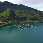 A Chilean salmon farm