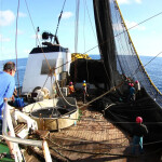 The deck of a tuna-fishing vessel