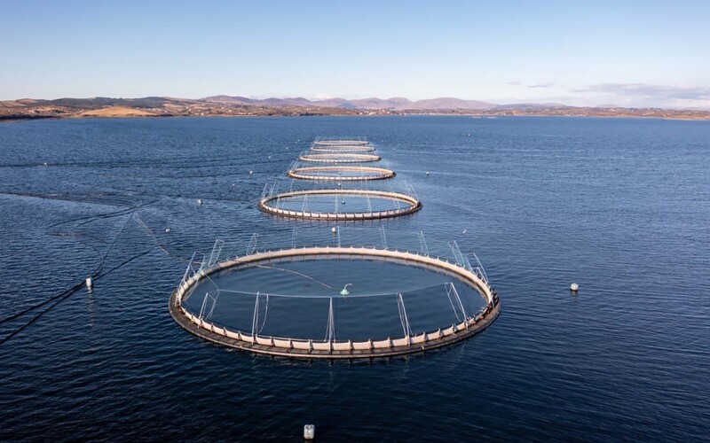 A fish farm off the coast of Donegal, Ireland