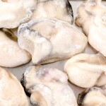 Frozen oysters