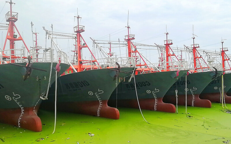 China Ocean Group-owned fishing vessels