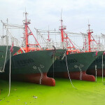 China Ocean Group-owned fishing vessels