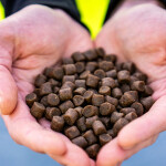 A person holding aquaculture feed in their hands