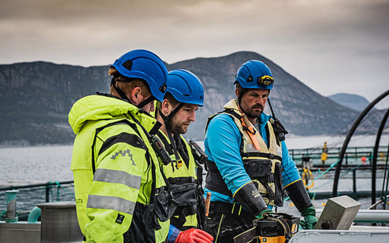Three Kvarøy Fiskeoppdrett employees standing on a net pen